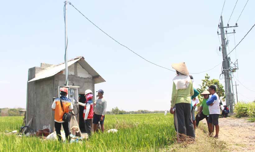 Program Electrifying Agriculture PLN