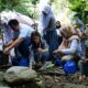 Program Sekolah Energi Berdikari