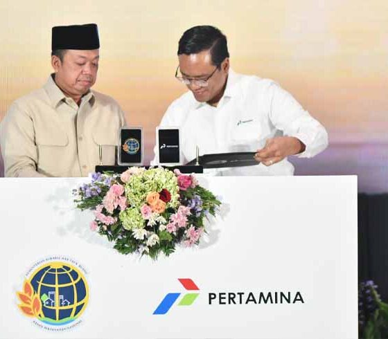 Infrastruktur Energi Nasional