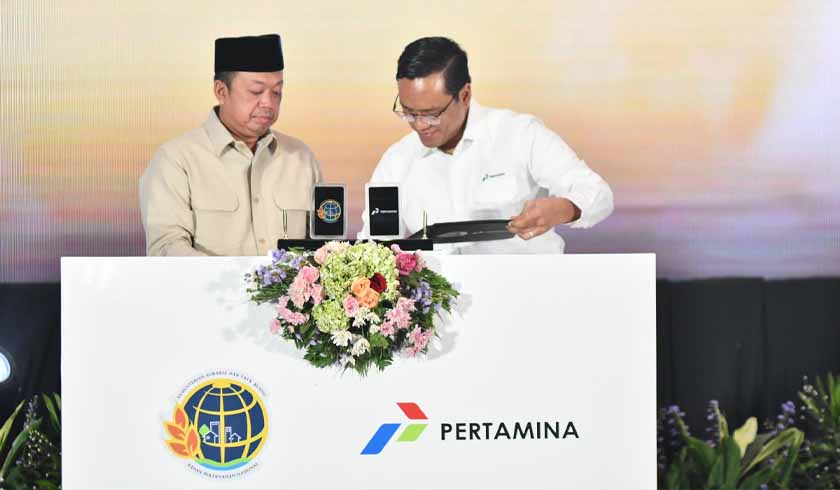 Infrastruktur Energi Nasional