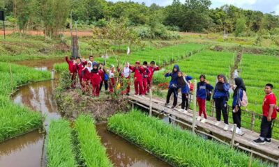 lewat Program PFmuda