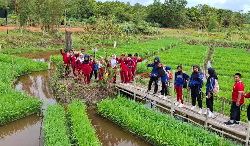 lewat Program PFmuda