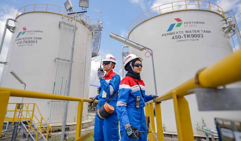 Bidang Energi di Asia Tenggara
