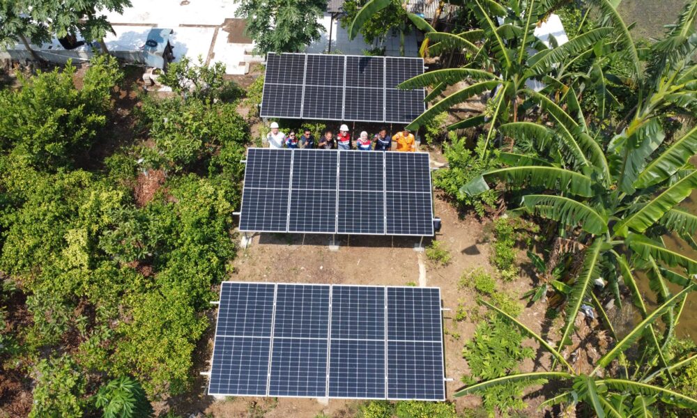 Tingkatkan Ekonomi Petani