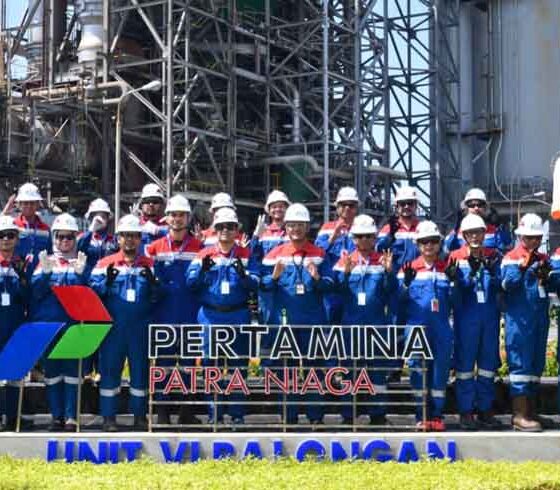 ketahanan energi