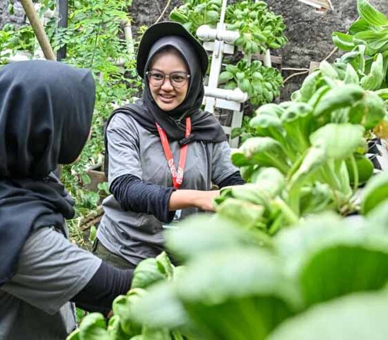 GreenBus Pertamina