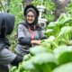 GreenBus Pertamina