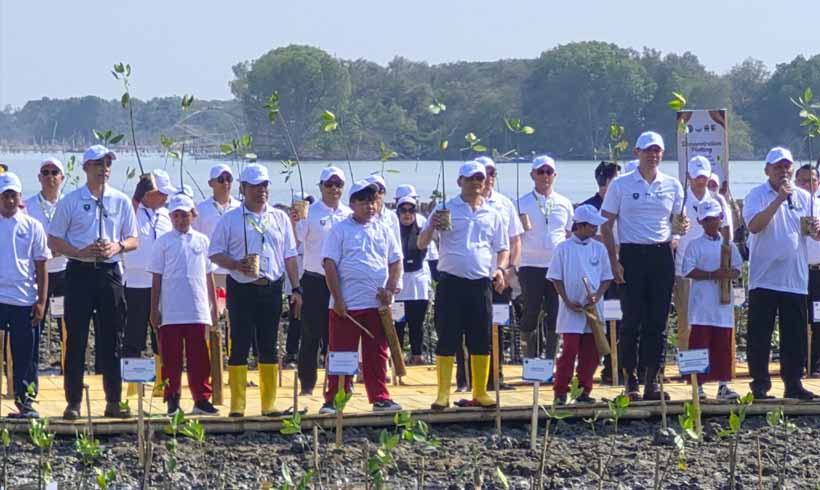 Pesisir Pantura