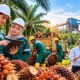Lowongan Kerja BUMN