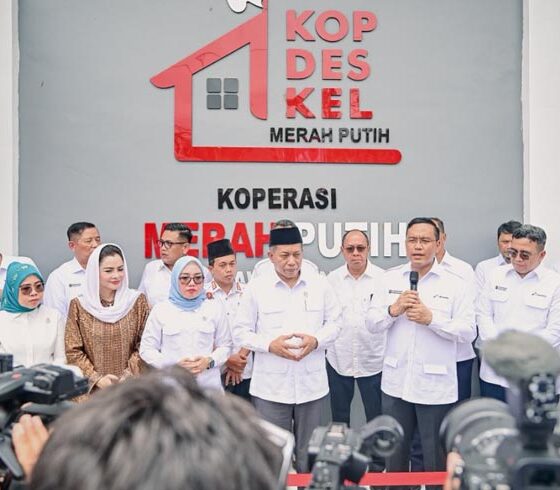 Minyak Jelantah