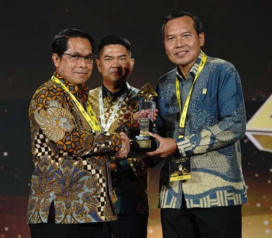 PLN Group
